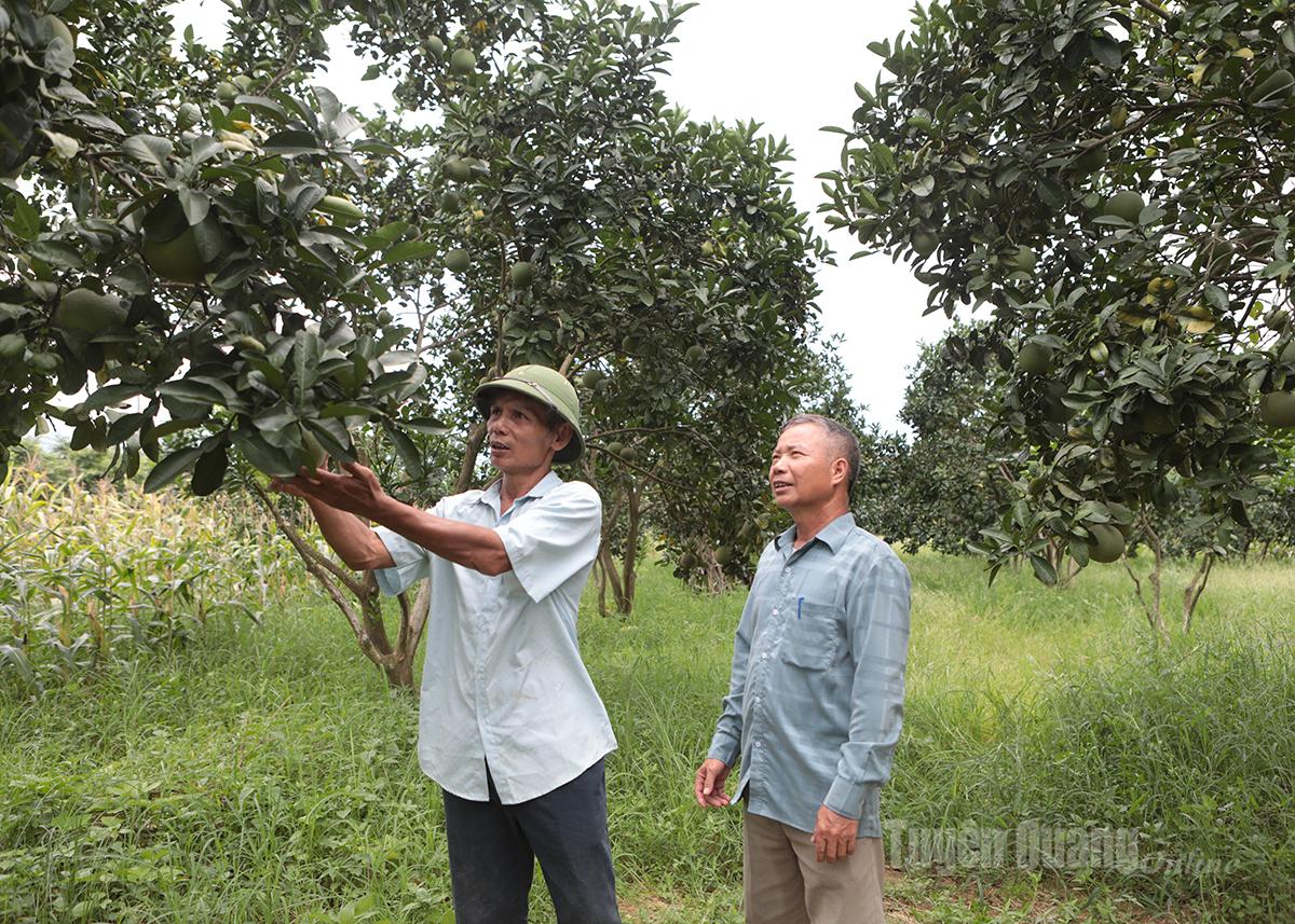Ông Đặng Định Hùng, thôn Vạt Chanh, xã Sơn Thủy (bên trái) giới thiệu mô hình ăn quả của gia đình.