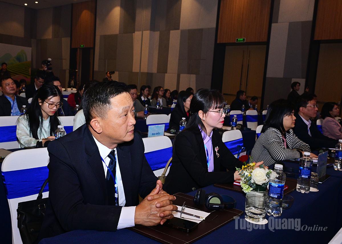 Các đại biểu dự hội nghị.