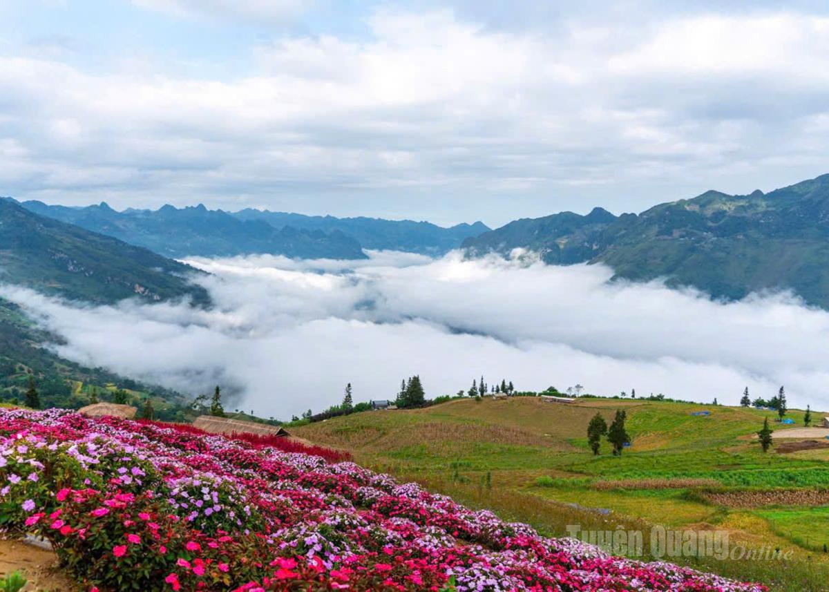 Khu du lịch sinh thái Suôi Thầu xã Pà Vầy Sủ, là nơi cảnh quan tuyệt đẹp mùa này thu hút rất nhiều khách đến tham quan, chếch in