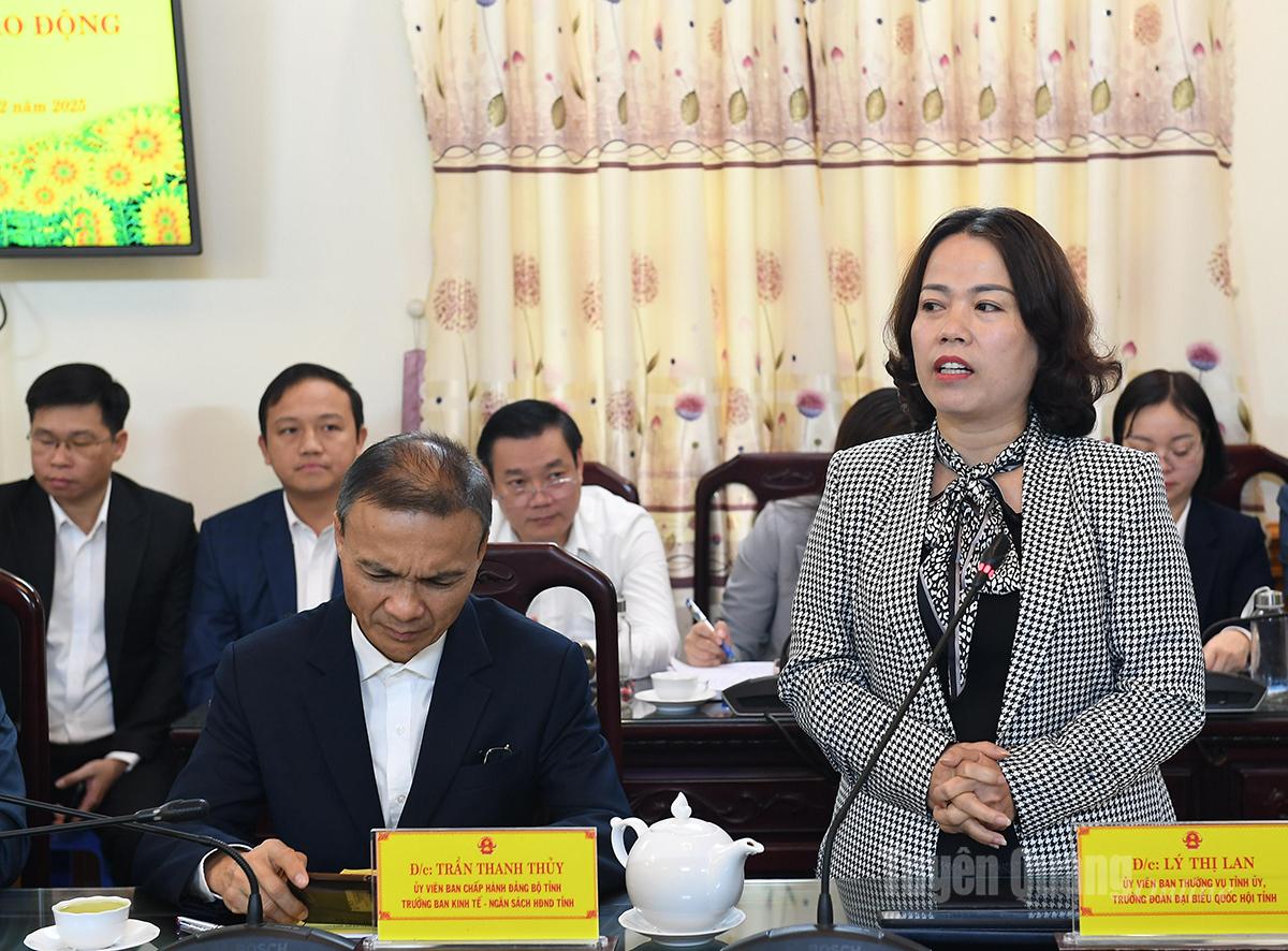 Đồng chí Trưởng Đoàn ĐBQH chuyên trách tỉnh Lý Thị Lan phát biểu tại hội nghị.