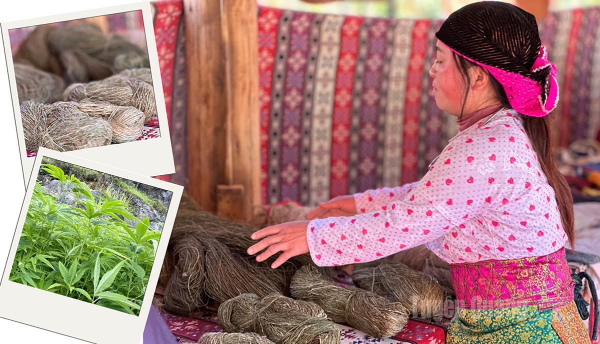 Chị Vàng Thị Ly, thôn Sà Tủng Chứ, xã Đồng Văn cho biết, xử lý sợi lanh là công đoạn khó nhất, thể hiện sự cần cù của người phụ nữ Mông. Các sợi lanh ngắn được nối thủ công bằng tay thành những sợi dài liên tục. Công đoạn này có thể kéo dài hàng tuần. Sợi lanh được cuộn vào các con suốt, sẵn sàng cho việc dệt.