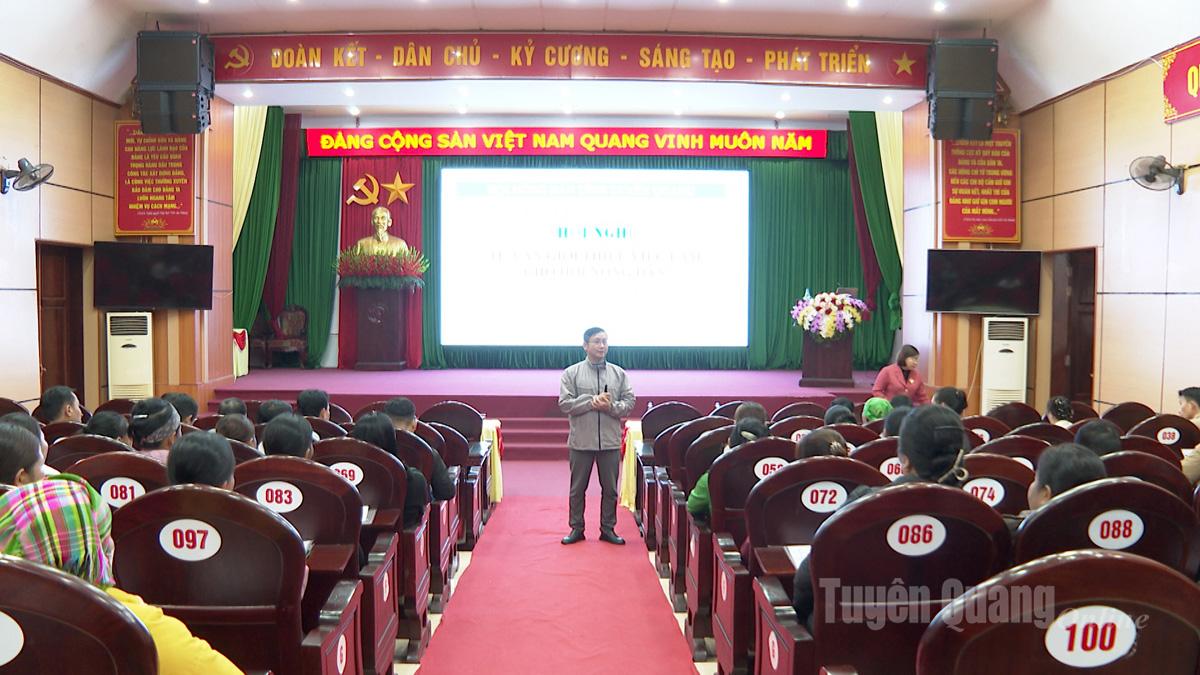 250 hội viên nông dân được tư vấn, cung cấp thông tin về thị trường lao động và cơ hội việc làm.