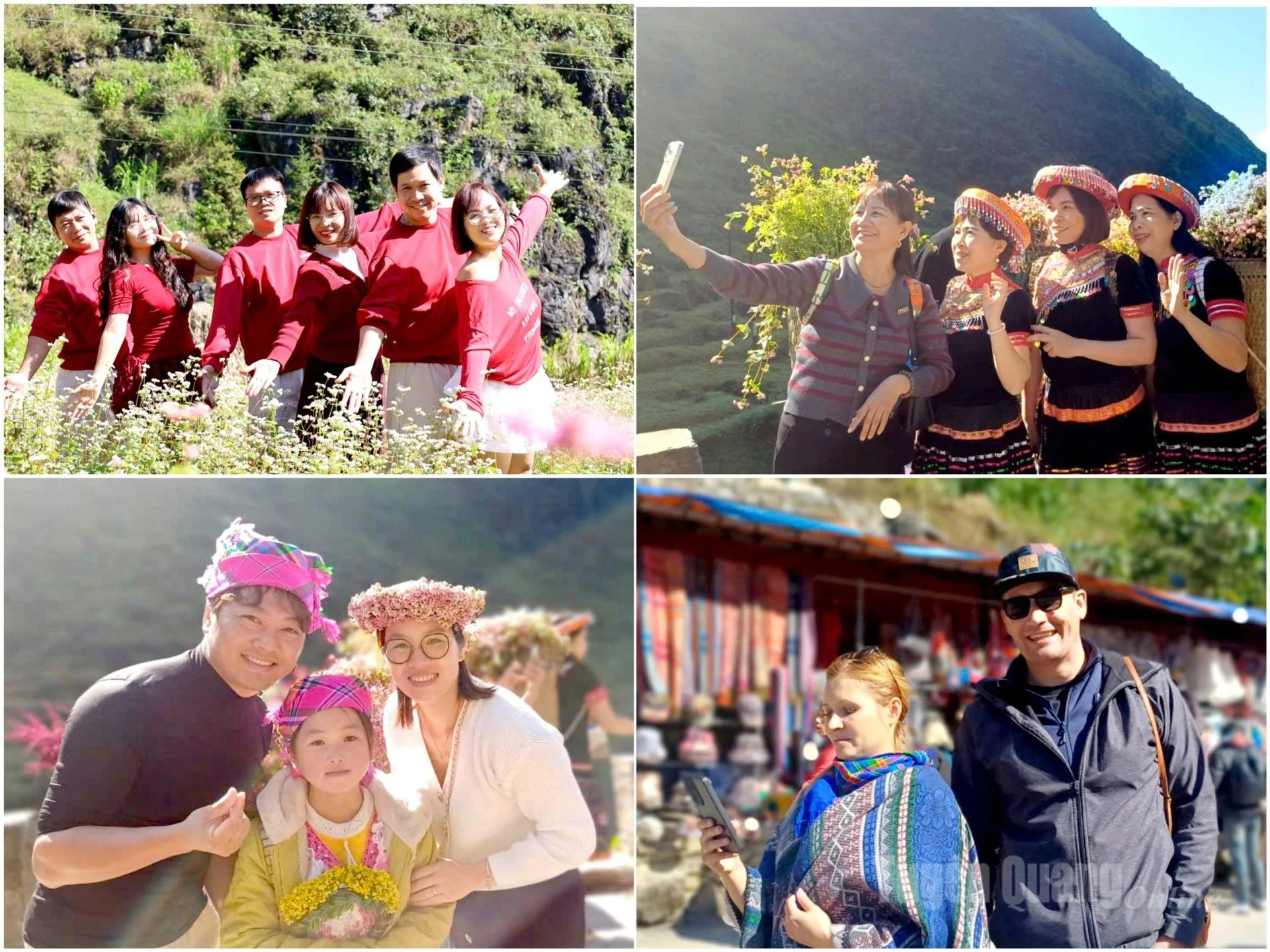 Tourists taking photos with their families by the flower valley capture beautiful moments along their journey through Pho Bang.