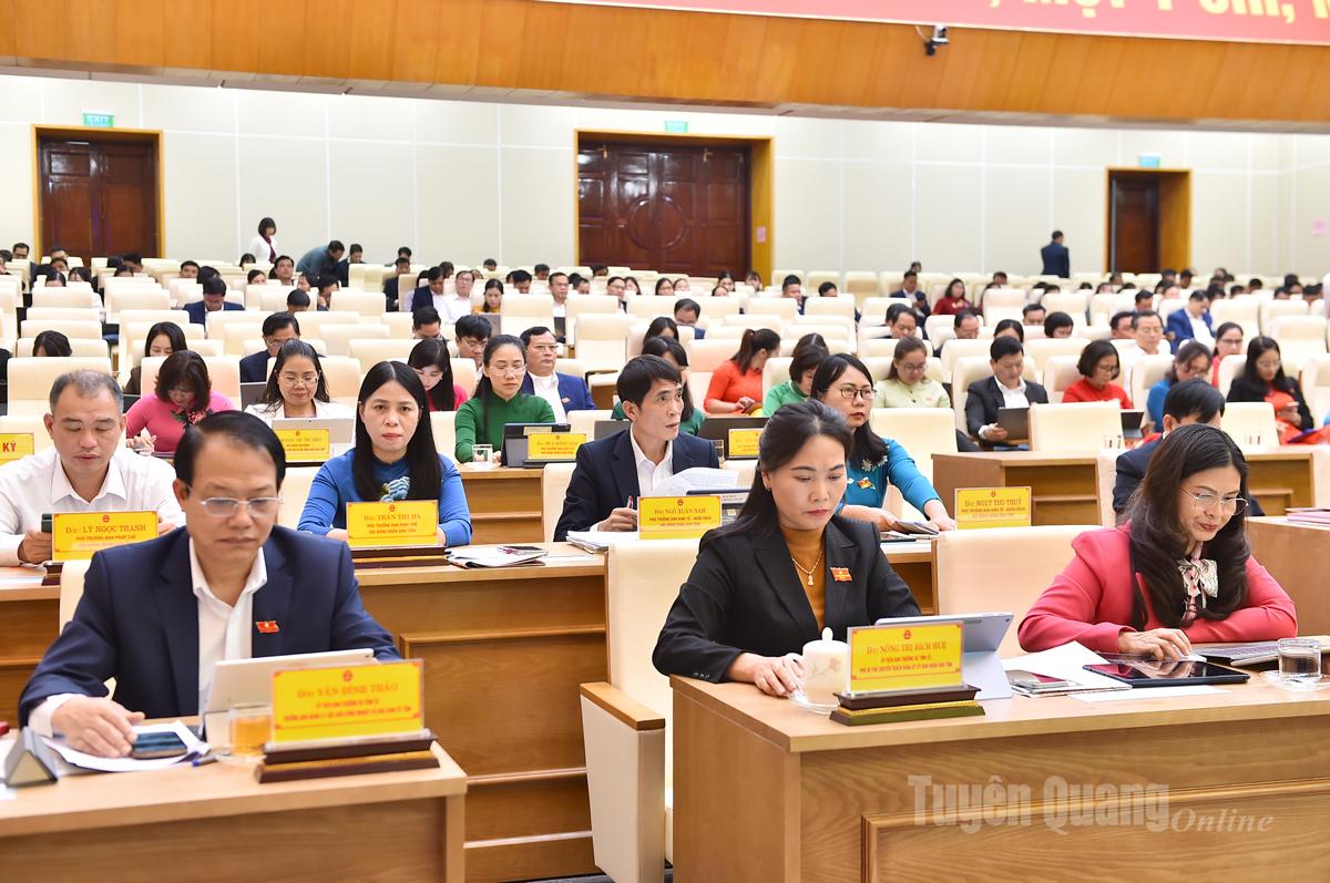 Các đại biểu dự kỳ họp.