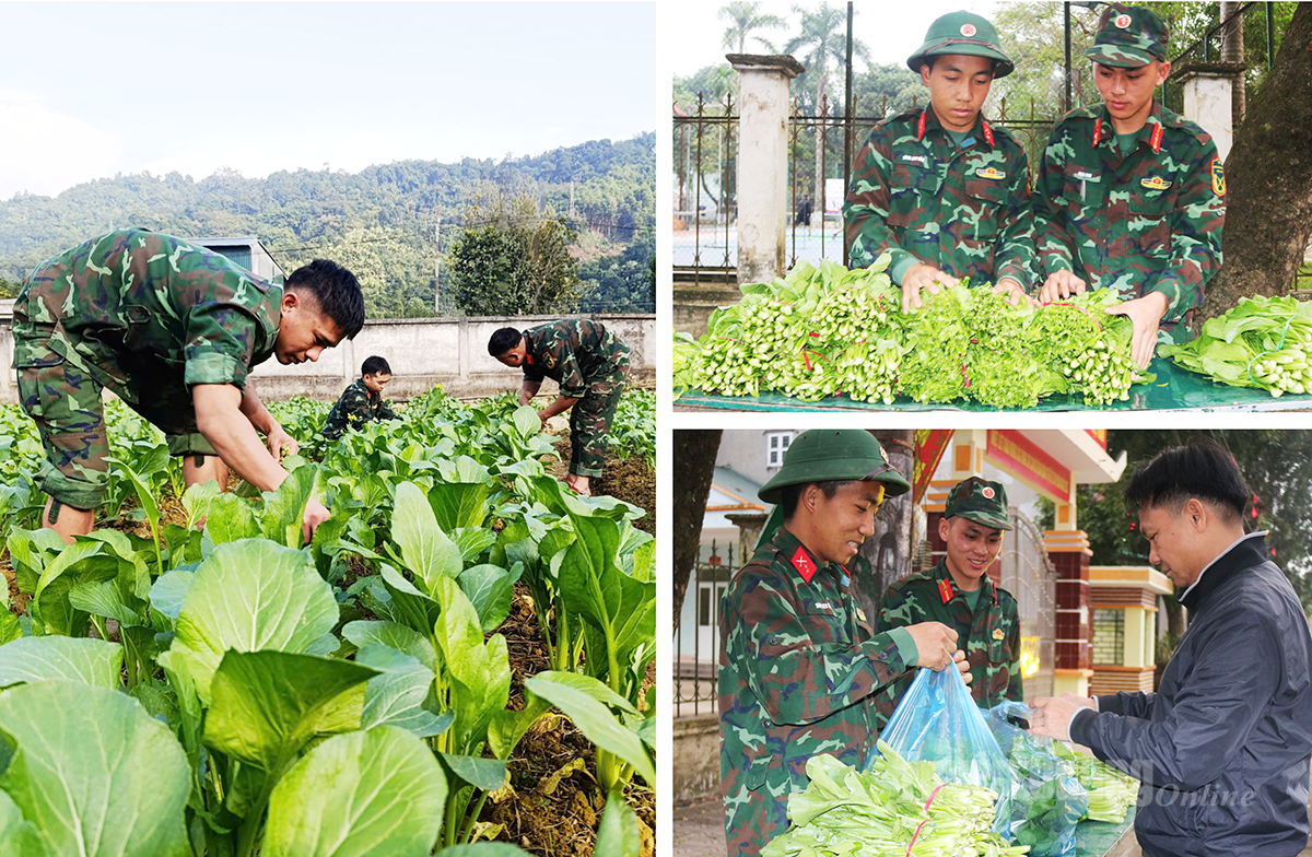 Rau xanh tăng gia được bán cho nhân dân, tạo thêm nguồn thu, góp phần cải thiện đời sống và nâng cao hiệu quả thực hiện nhiệm vụ.