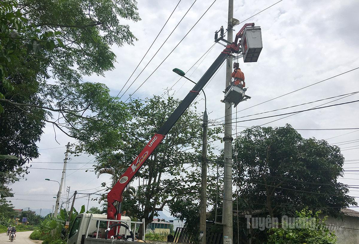 Công ty Điện lực Tuyên Quang cải tạo, nâng cấp sửa chữa hệ thống lưới điện, đáp ứng nhu cầu sử dụng điện của người dân.