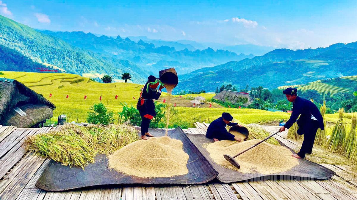The Dao people in Xa Phin Hamlet, Thanh Thuy Commune, have preserved their traditional cultural identity, contributing to the community’s attractiveness.