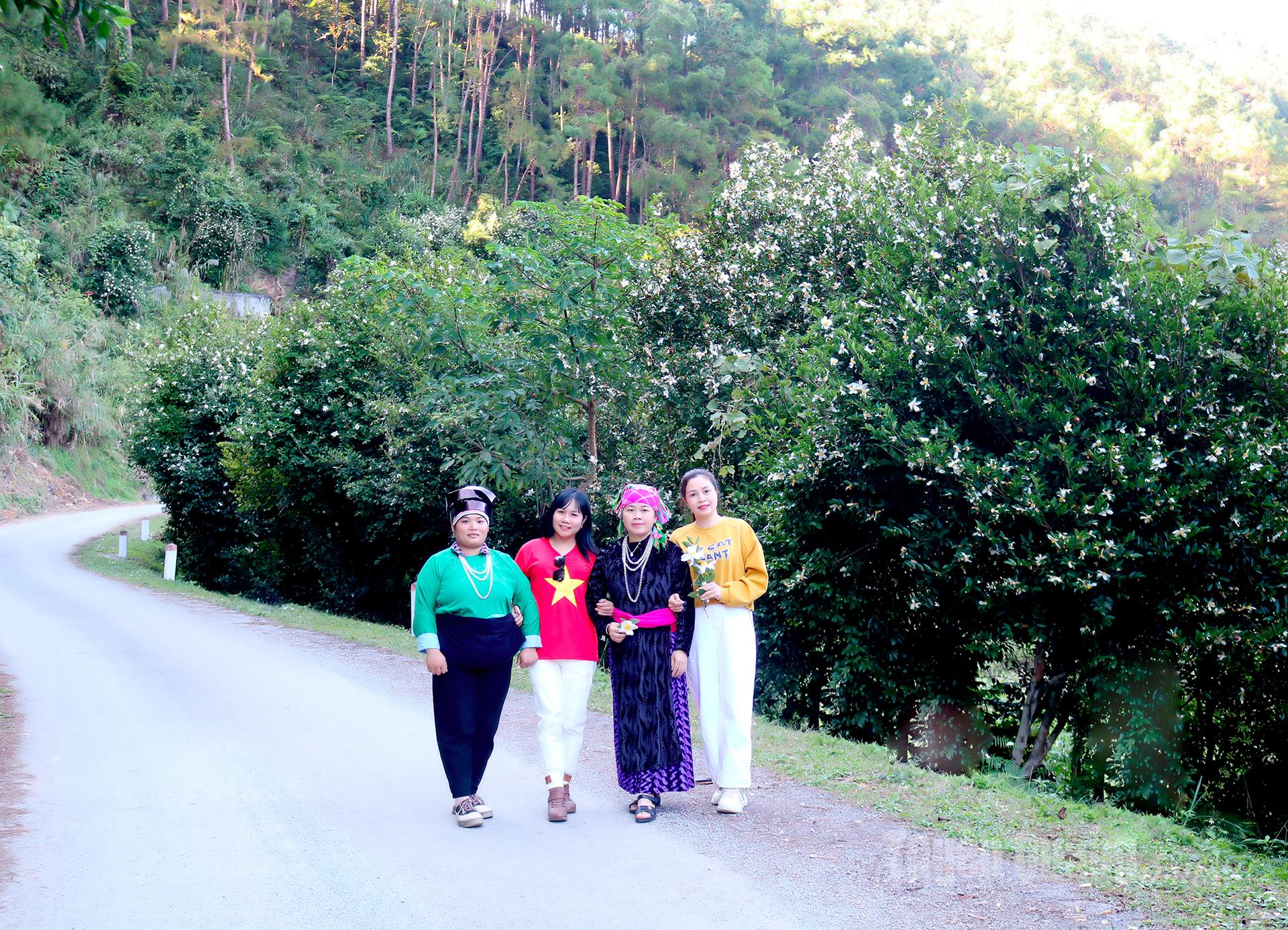 The blossoming camellias add a touch of romance to the borderland roads.