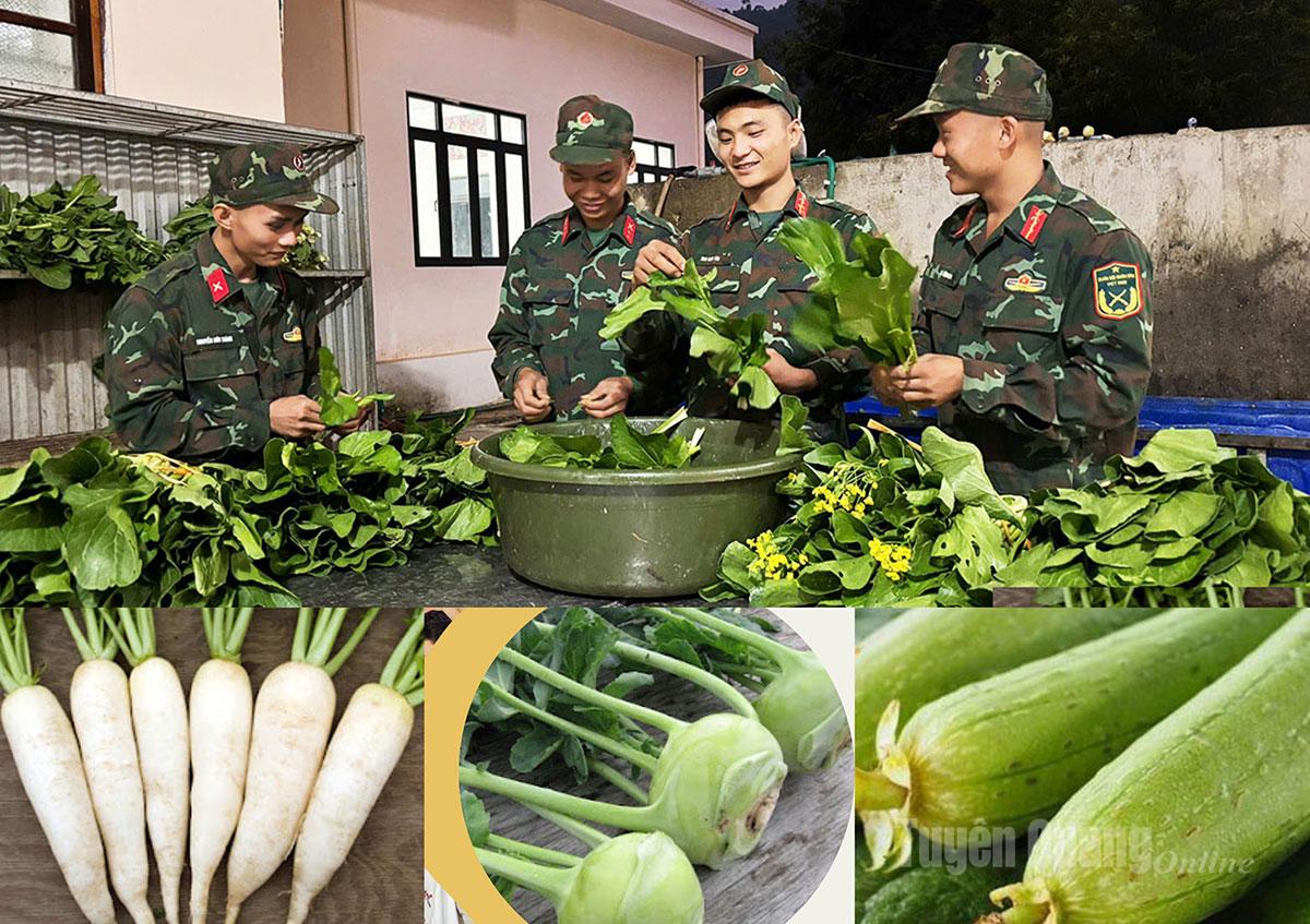 Rau xanh là nguồn thực phẩm không thể thiếu, được chuẩn bị kỹ lưỡng trước khi đưa vào bếp ăn.