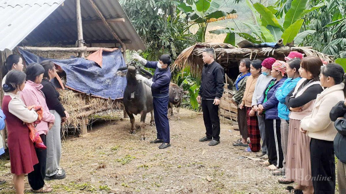 Lớp Chăn nuôi được mở tại thôn Bản Bun, xã Đồng Tâm.
