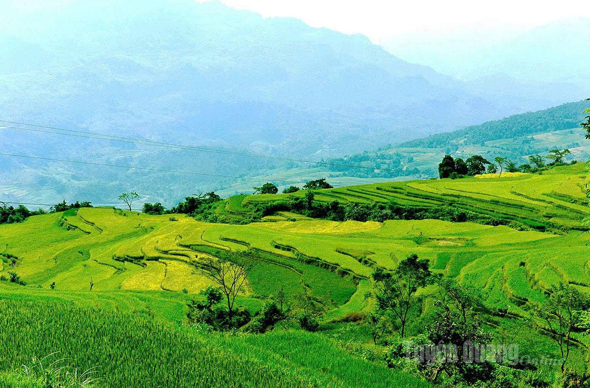 Terraced fields form a unique tourism highlight, leaving a lasting impression on visitors both inside and outside the province.