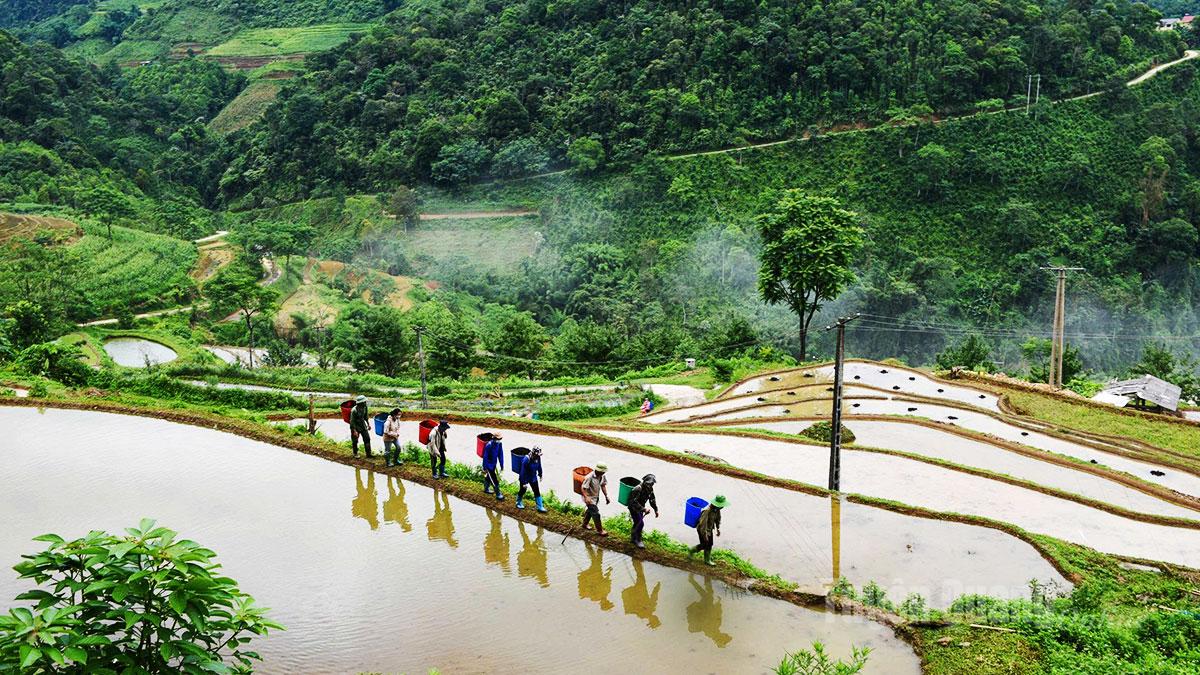 Summer brings another highlight: the romantic beauty of terraced fields during the water-pouring season.