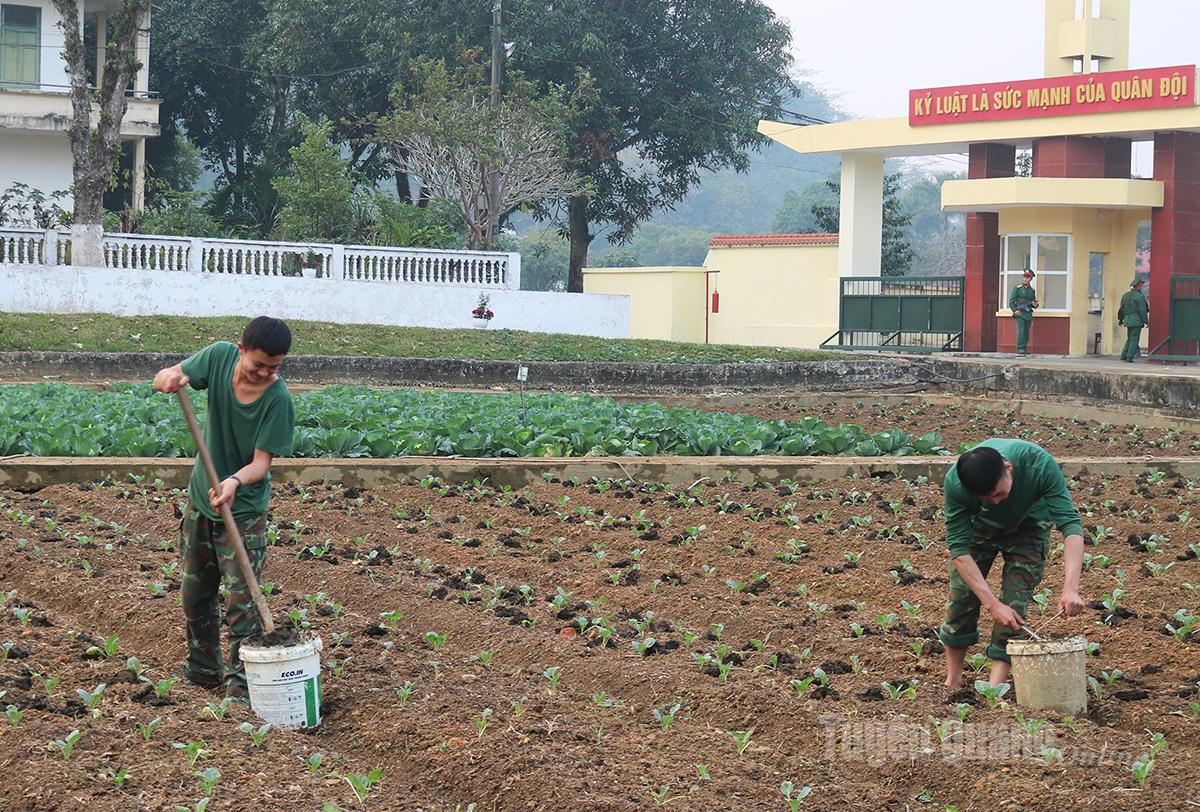 Cán bộ, chiến sĩ tích cực cải tạo đất, trồng trọt.