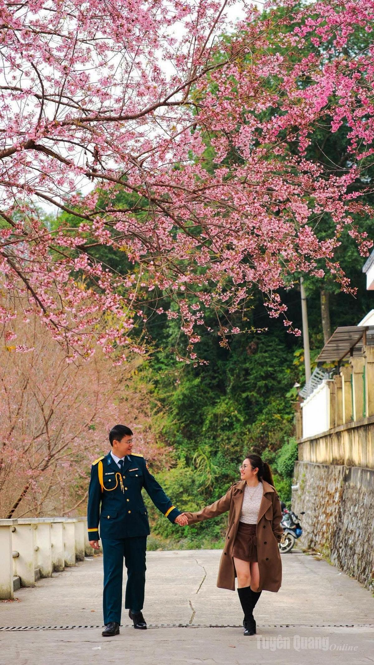 A couple pose amidst the beauty of Mai anh dao flowers.