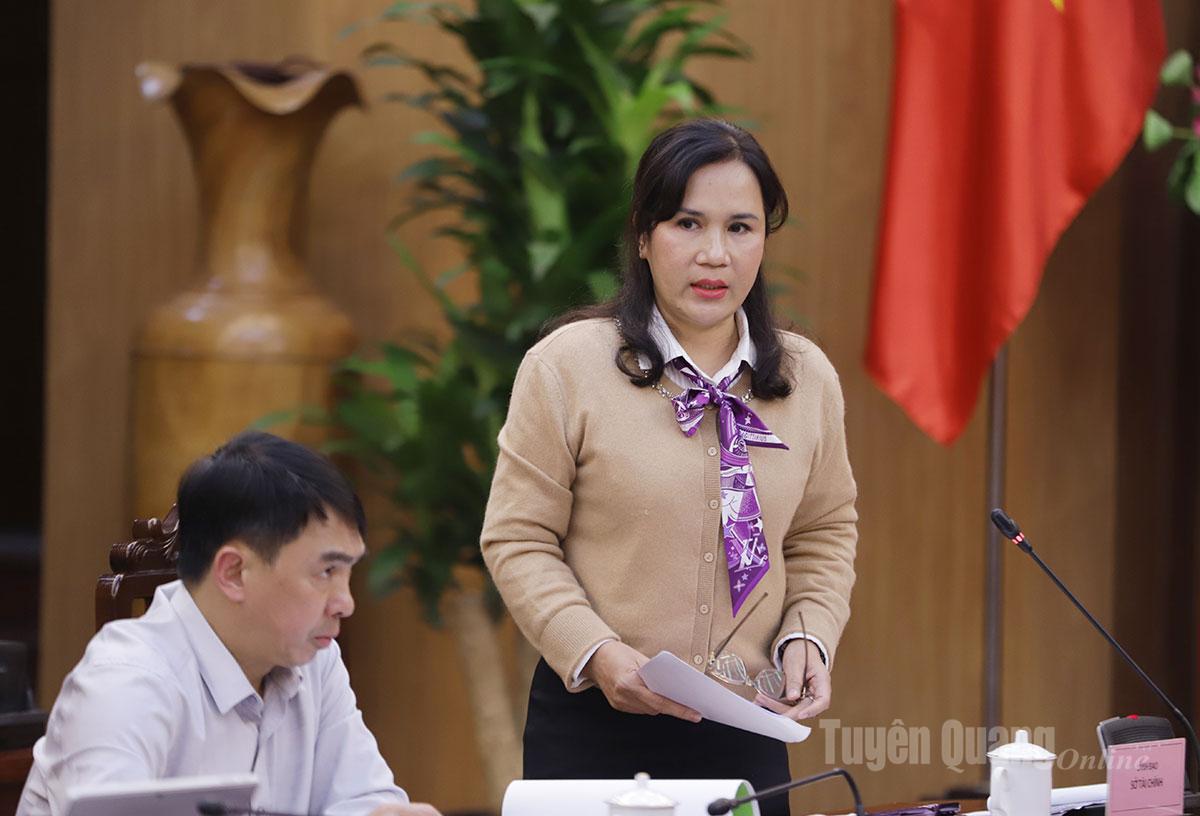 Lãnh đạo Sở Tài chính - chủ trì xây dựng Khung định hướng điều chỉnh quy hoạch tiếp thu các ý kiến góp ý tại cuộc họp.