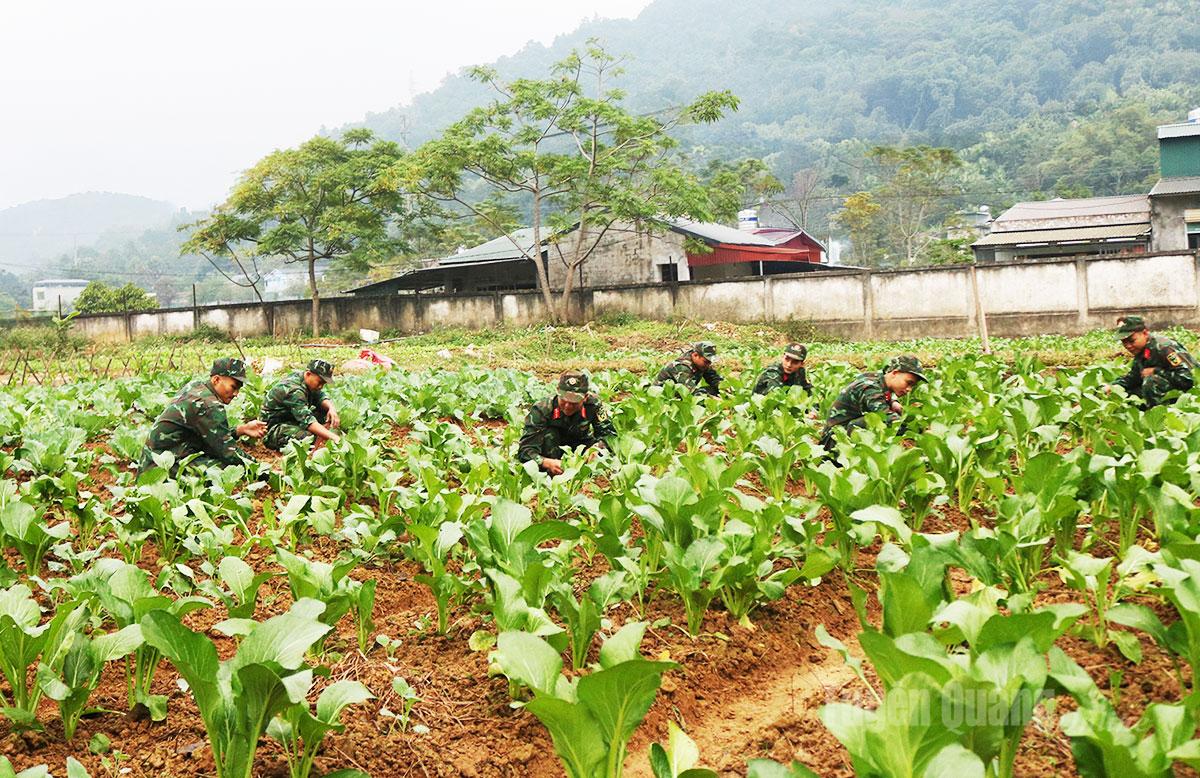 Mỗi tiểu đội phụ trách một khu vực, tạo nên khí thế lao động sản xuất sôi nổi và hiệu quả.