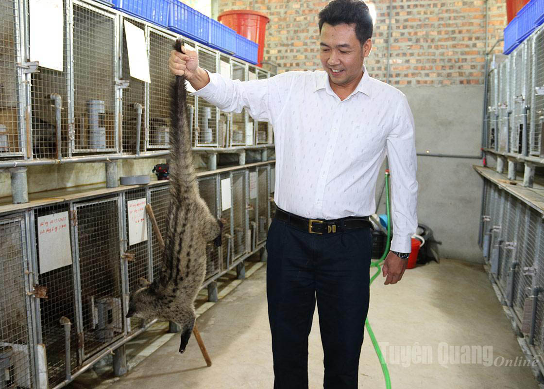 The civet-farming facility of Bui Ngoc Thinh.