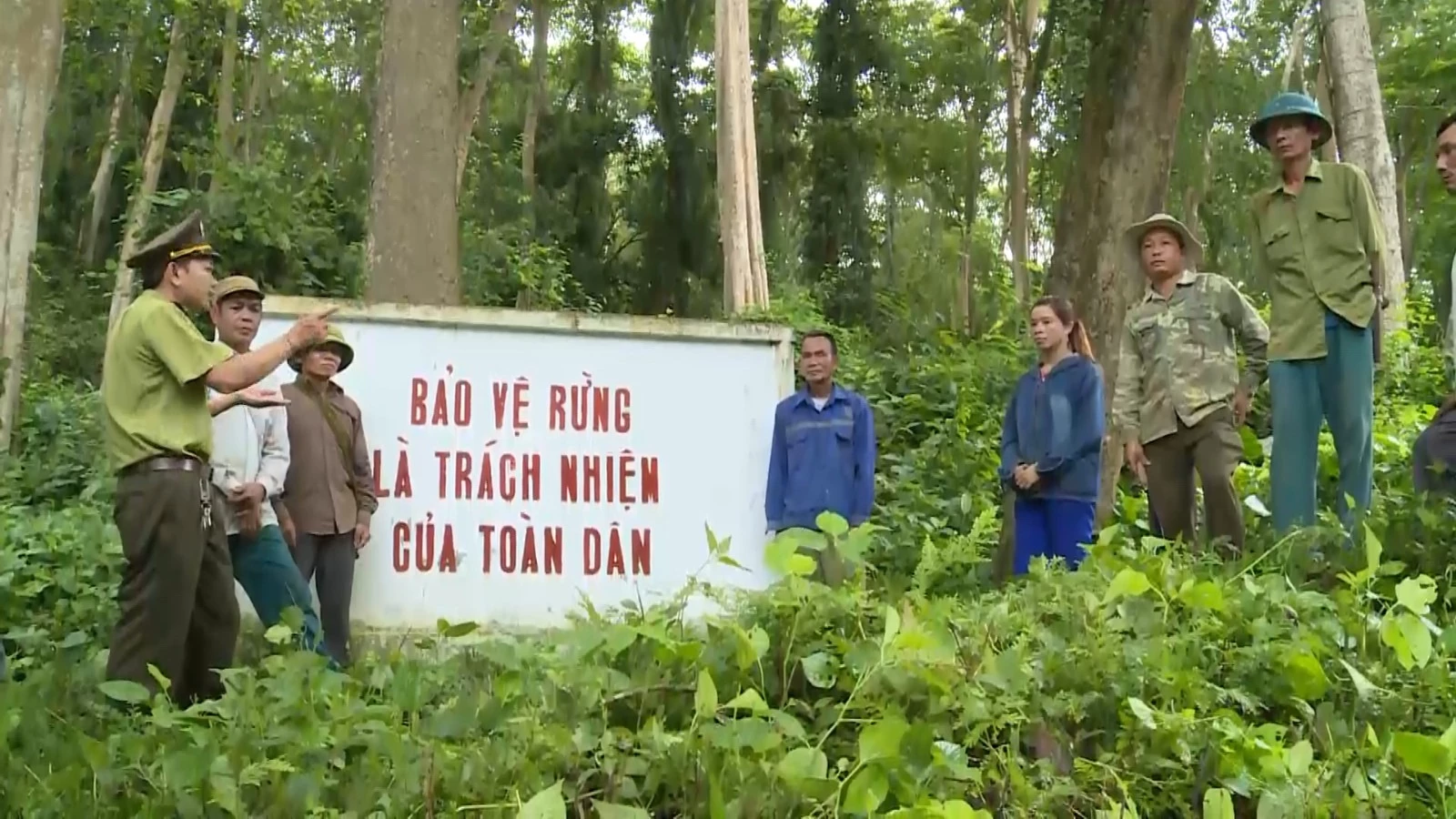 Tăng cường công tác bảo vệ rừng và phòng cháy, chữa cháy rừng trên địa bàn tỉnh