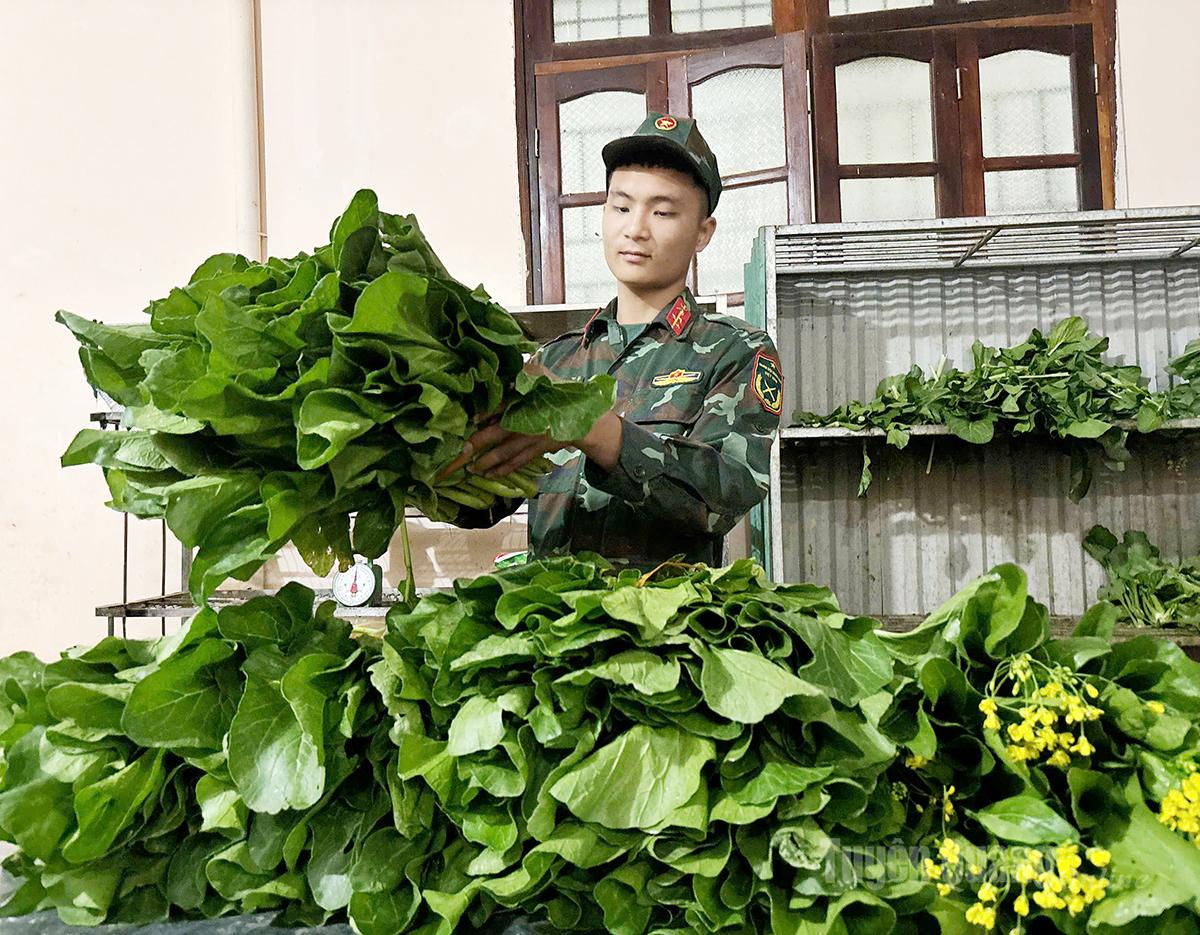 Sản phẩm rau xanh sau thu hoạch luôn đảm bảo độ tươi ngon, sạch sẽ.