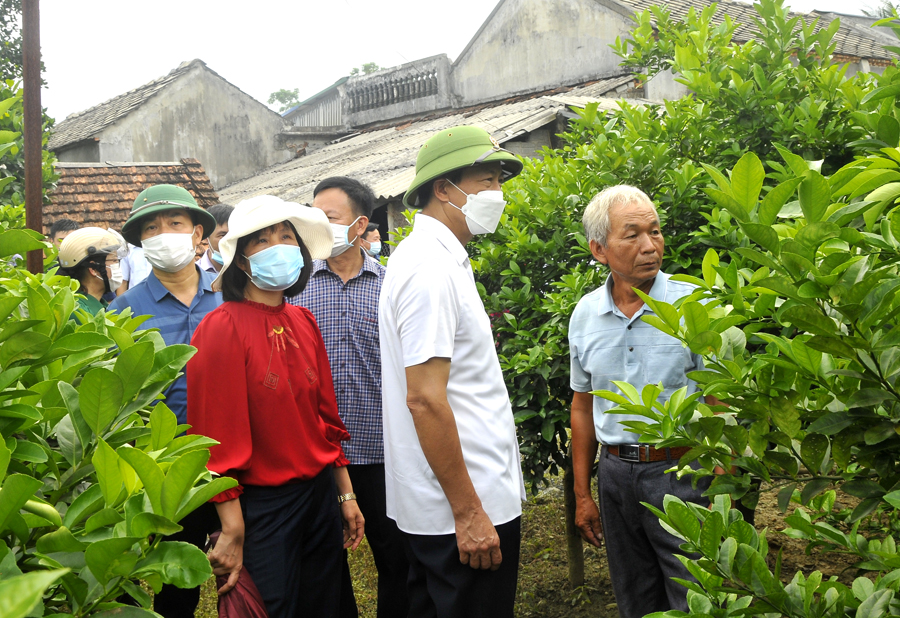 Chủ tịch UBND tỉnh Nguyễn Văn Sơn thăm mô hình kinh tế của hộ ông Lã Anh Hoạt, tổ 11, thị trấn Việt Lâm.