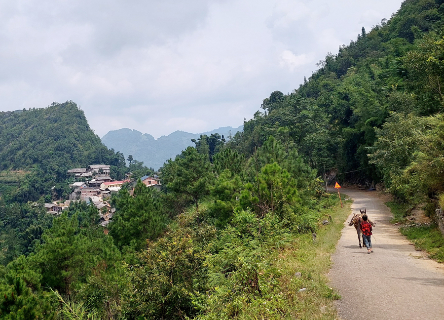 Một góc thôn Séo Lủng.