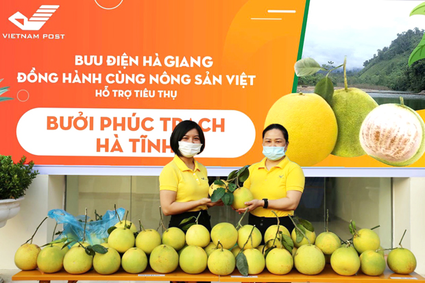 Bưởi Phúc Trạch bán tại tất cả các điểm giao dịch của hệ thống Bưu điện tỉnh.