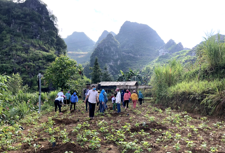 Cán bộ, CNVC, người lao động LĐLĐ huyện Đồng Văn hỗ trợ các hộ cải tạo vườn tạp.