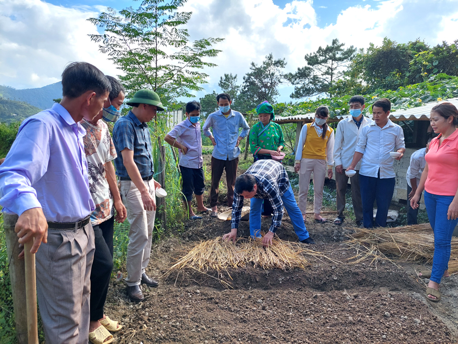 Cán bộ Trung tâm Khuyến nông tỉnh hướng dẫn các học viên thực hành tại hiện trường.