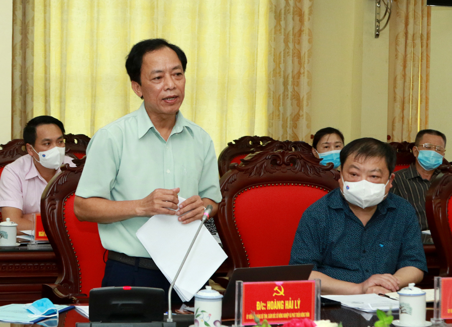 Giám đốc Sở Nông nghiệp và PTNT Hoàng Hải Lý báo cáo tiến độ thực hiện chương trình cải tạo vườn tạp