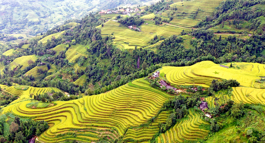 Ngắm ruộng bậc thang ở Thông Nguyên.                               Ảnh: LƯƠNG KHÔI