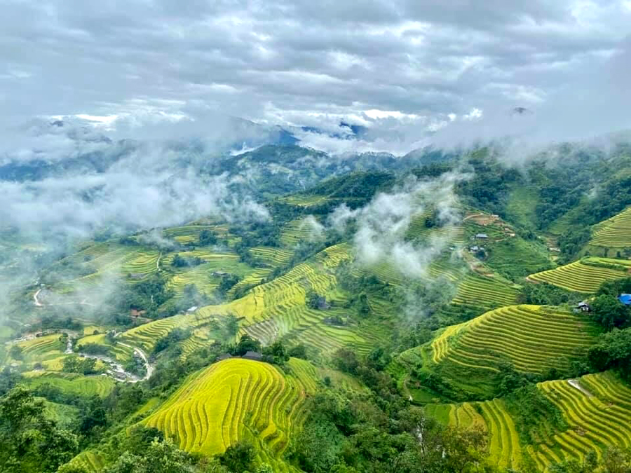 Ruộng bậc thang xã Bản Luốc, Hoàng Su Phì.