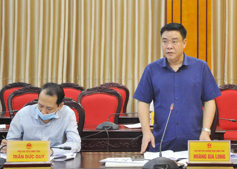 Phó Chủ tịch Thường trực UBND tỉnh Hoàng Gia Long đề nghị các ngành, địa phương tập trung các giải pháp, phấn đấu hoàn thành thắng lợi chỉ tiêu kế hoạch năm 2021.