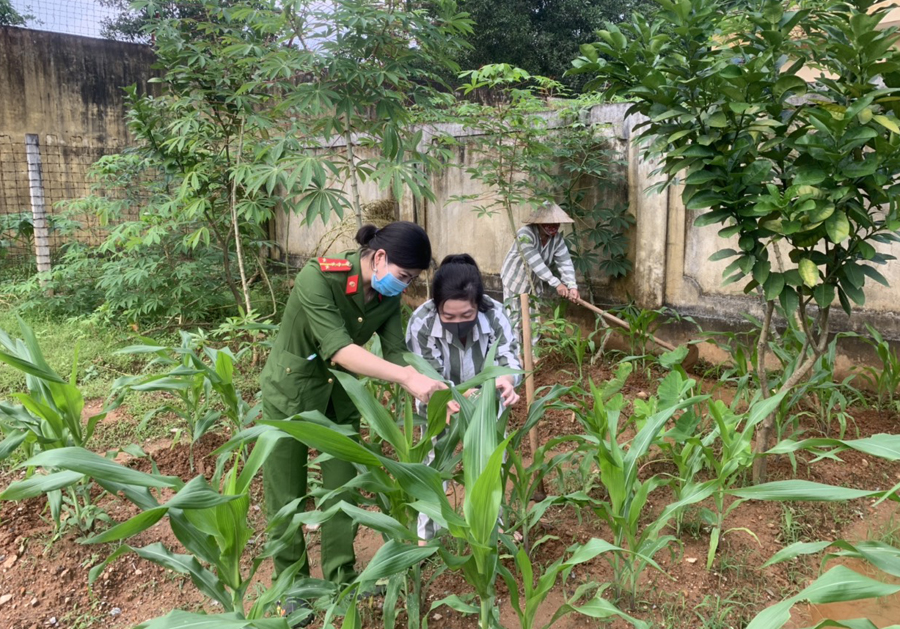 Cán bộ quản giáo Trại tạm giam Công an tỉnh hướng dẫn các phạm nhân lao động sản xuất. 