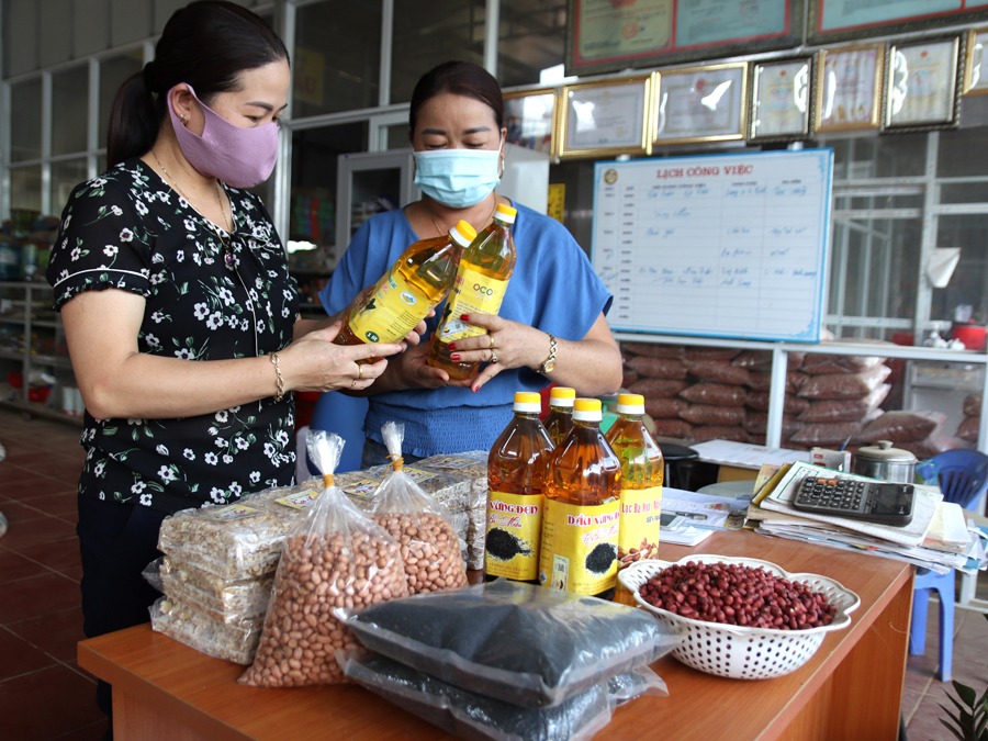 Liên kết sản xuất với người dân giúp HTX Nông sản dầu Lạc Đồng Yên có vùng nguyên liệu ổn định. 								                    Ảnh: THU PHƯƠNG