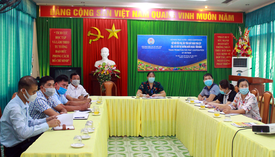 Các đại biểu dự hội nghị tại điểm cầu tỉnh ta.