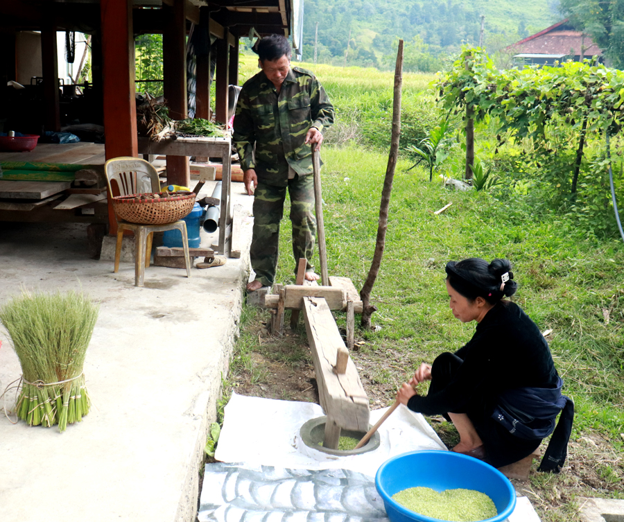 Hiện nay nhiều có nhiều nhà làm cốm đã sử dụng máy móc để tách hạt lúa nếp, tuy nhiên gia đình bà Xanh vẫn làm theo phương pháp thủ công, đó là giã lúa nếp sau khi sấy sẽ làm cho hạt cốm vừa mềm và thơm.