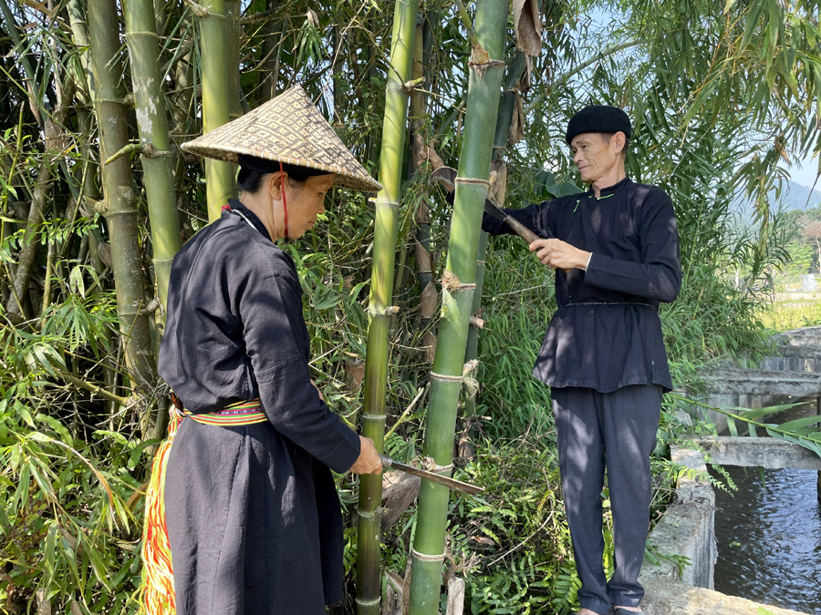 Nguyên liệu để tạo nên sản phẩm đan lát vô cùng đơn giản, chính là những nan tre được lấy từ lũy tre làng. Tre sẽ được chặt theo từng khúc, sau đó đem về chẻ nhỏ và vót mỏng.
