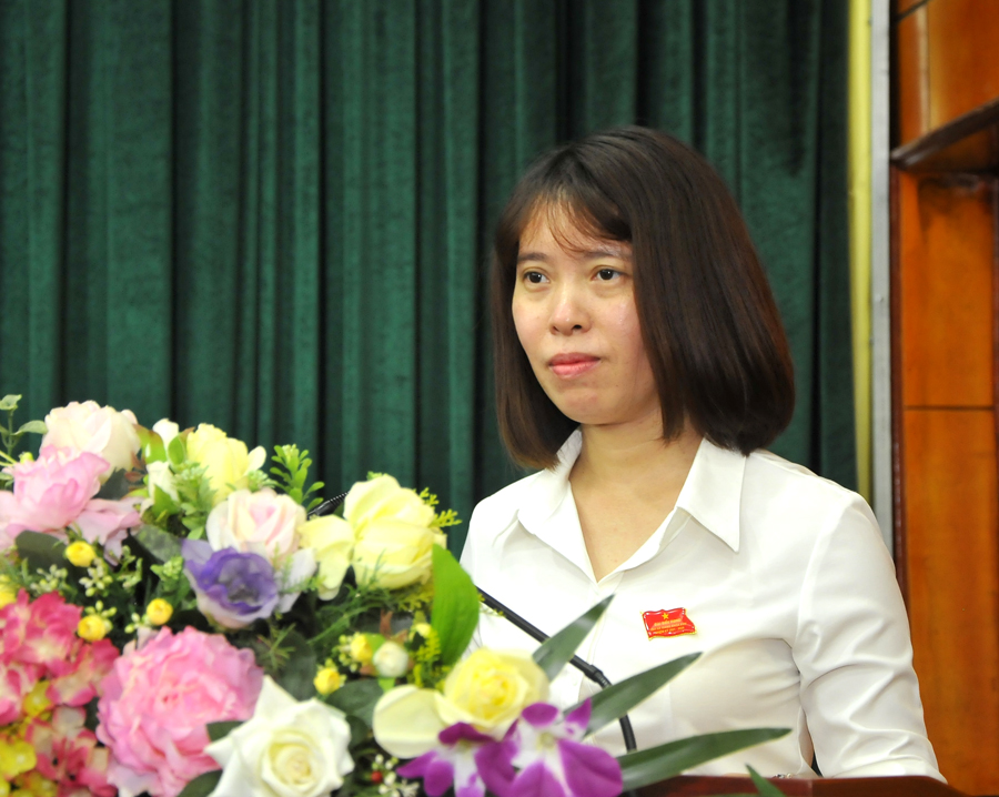 Trưởng Ban Pháp chế HĐND tỉnh Nguyễn Thị Thanh Thủy trình bày báo cáo thẩm tra của Ban Pháp chế HĐND tỉnh.