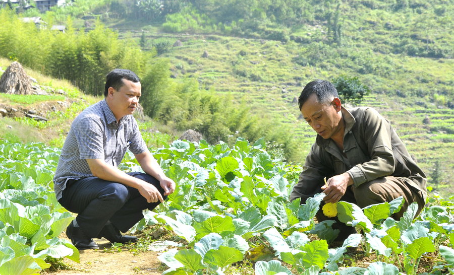Bí thư chi bộ thôn Sủng Cáng Lầu Chứ Tủa (bên phải) tích cực cải tạo nương tạp, trồng các loại rau màu phục vụ đời sống và chăn nuôi.