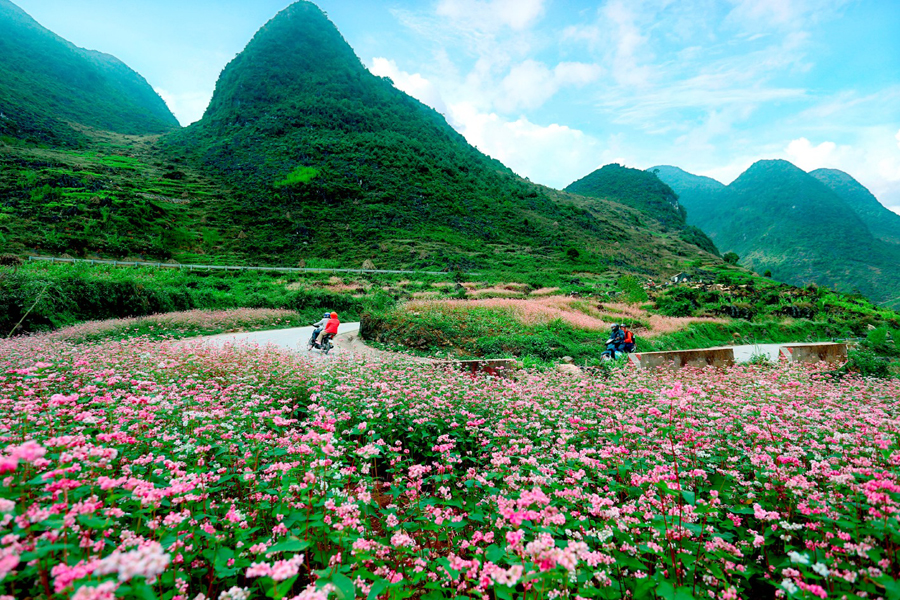 Ảnh: Vũ Chinh