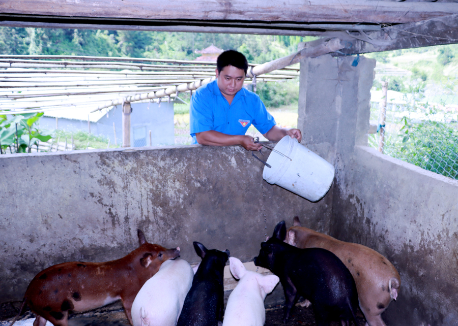 Anh Sùng Seo Chư, Bí thư Đoàn xã Lao Chải gương mẫu phát triển kinh tế.
