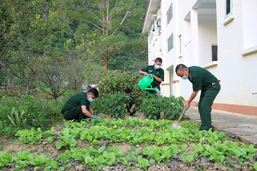 Tăng gia sản xuất ở Đồn Biên phòng Sơn Vĩ.                                        Ảnh: Trọng Đạt