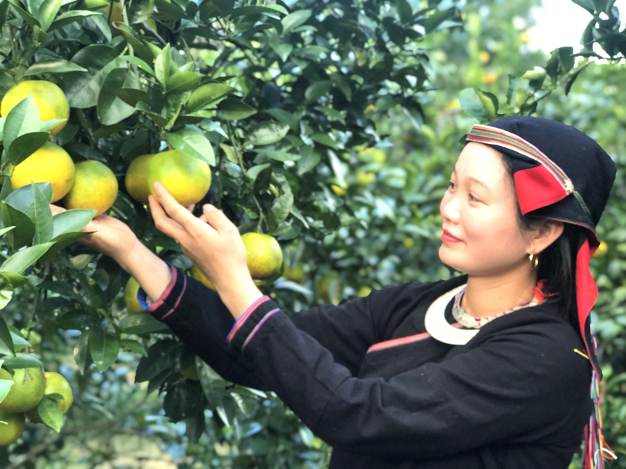 Phụ nữ người dân tộc thiểu số mạnh dạn đầu tư, phát triển kinh tế từ những mô hình hiệu quả.