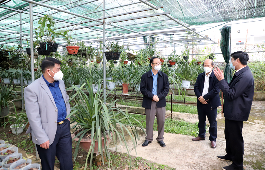 Đoàn kiểm tra tại Trung tâm giống cây trồng và vật nuôi Phố Bảng.