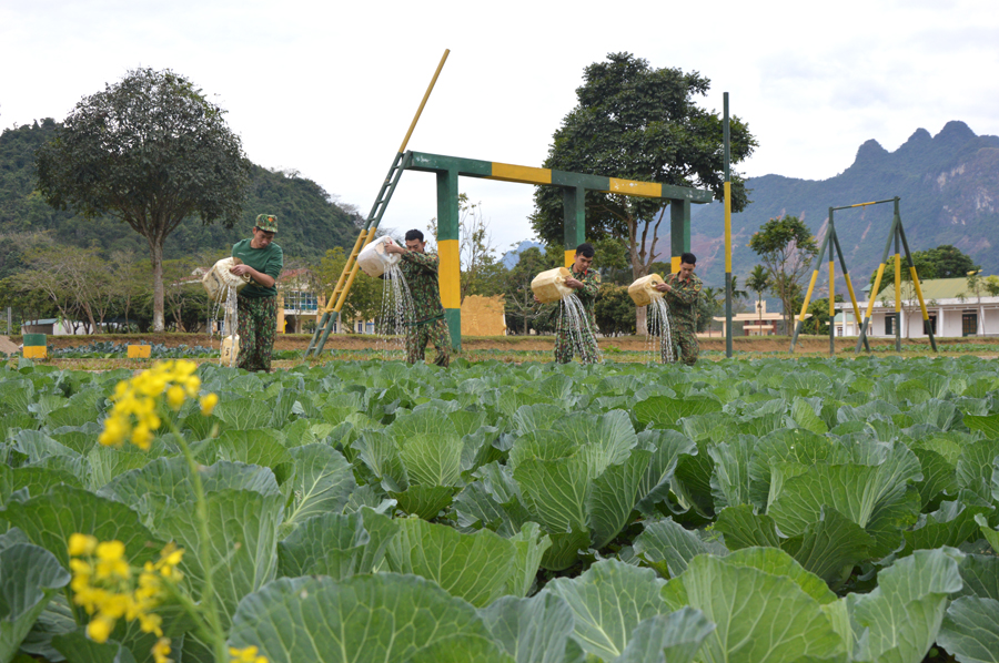 Các đơn vị trực thuộc Bộ CHQS tỉnh tăng gia tạo môi trường “Sáng, xanh, sạch, đẹp”.