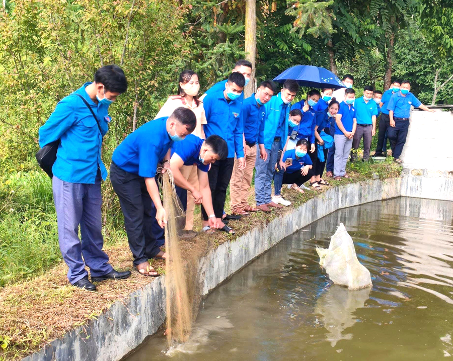 Đoàn viên thanh niên Hà Giang tham quan mô hình làm kinh tế giỏi thanh niên làm chủ