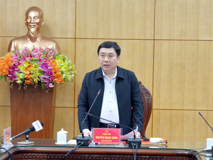Phó Bí thư Tỉnh ủy Nguyễn Mạnh Dũng.