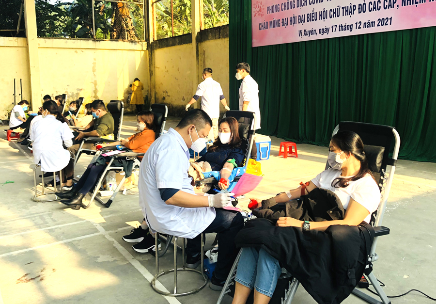 Các tình nguyện viên hiến máu