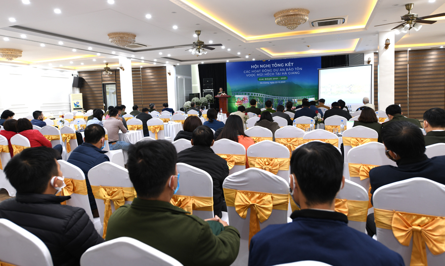 Toàn cảnh hội nghị