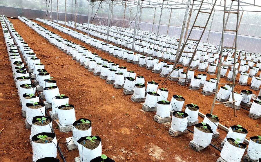 Các sản phẩm của anh Tiến được áp dụng công nghệ sản xuất hiện đại 